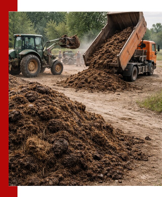 Доставка навоза самосвалами в Бузулуке для сельхозпотребностей